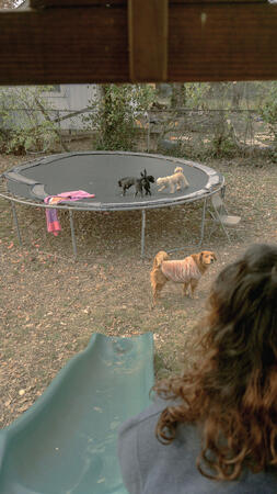 Original Narrative Shot Frame 005